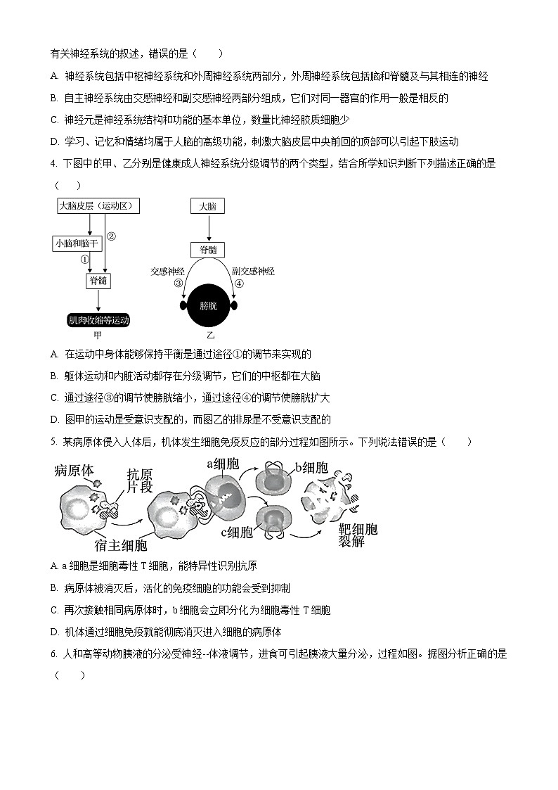 2024盘锦高级中学高二上学期12月月考试题生物含解析第2页