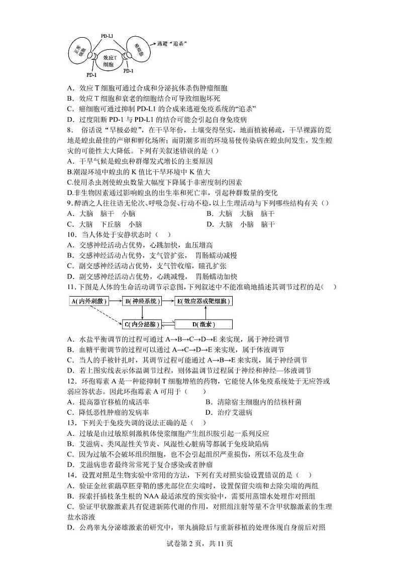 2024成都外国语学校高二上学期12月月考试题生物PDF版含答案第2页