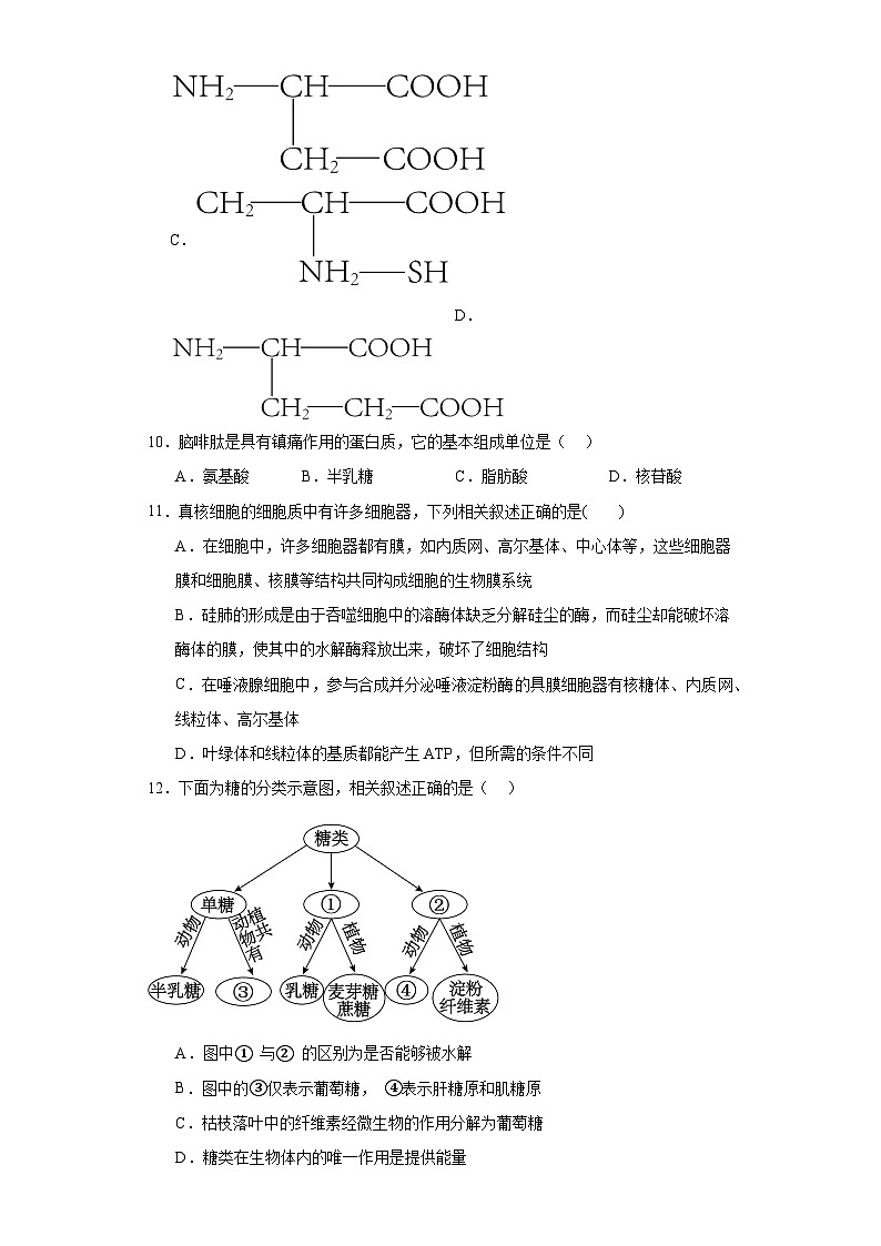 2024周口恒大中学高一上学期12月月考试题生物含解析03