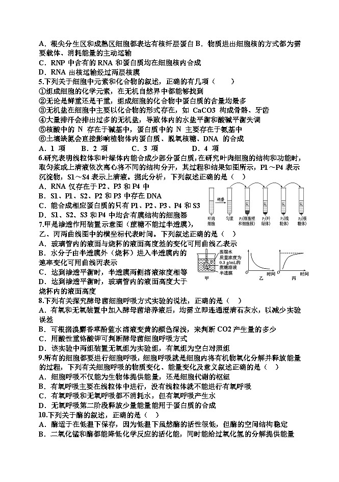 2024天津静海区一中高一上学期12月月考试题生物含答案第2页