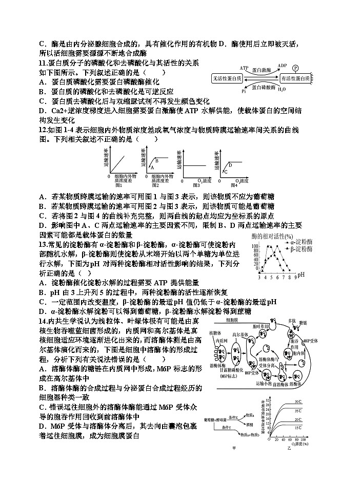 2024天津静海区一中高一上学期12月月考试题生物含答案第3页
