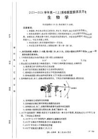 2024邢台质检联盟高一上学期12月月考试题生物PDF版含答案