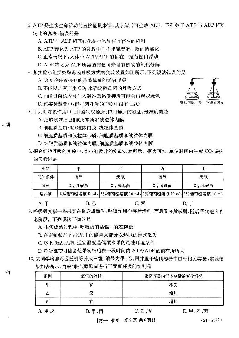 2024邢台质检联盟高一上学期12月月考试题生物PDF版含答案第2页