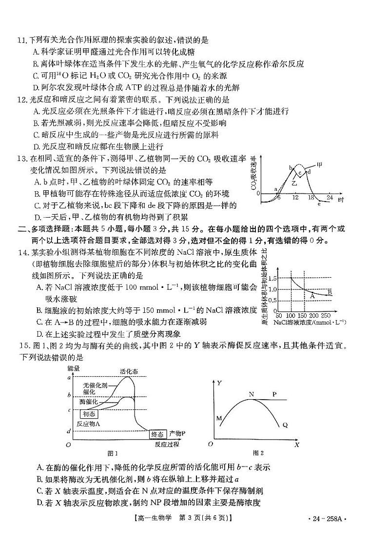 2024邢台质检联盟高一上学期12月月考试题生物PDF版含答案第3页