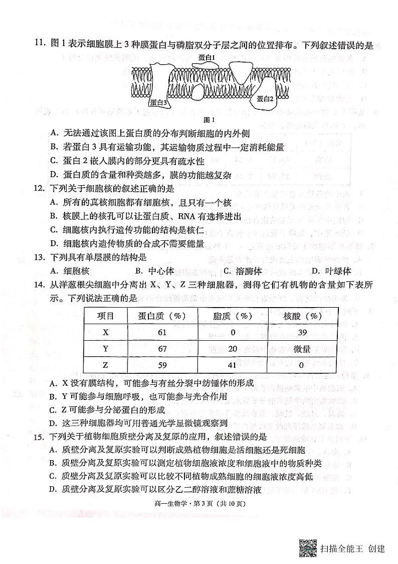 2024云南师大附中高一上学期12月月考试题生物PDF版含解析第3页