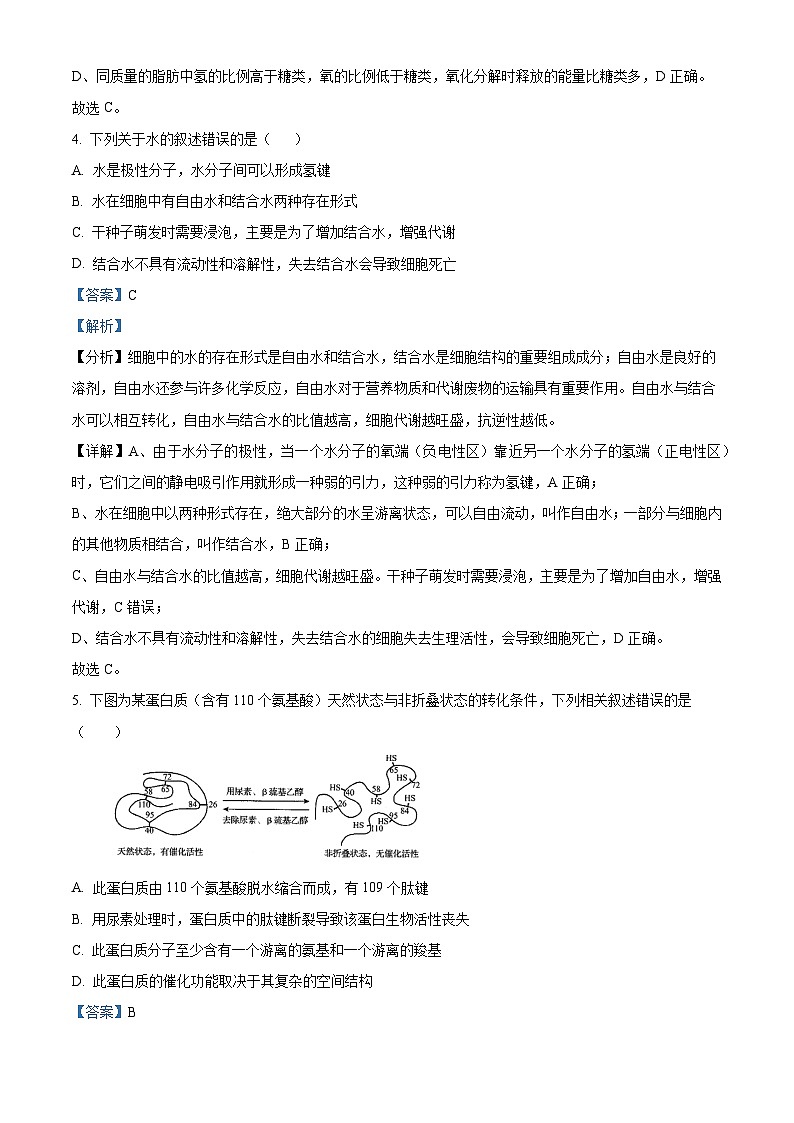 福建省泉州市泉港区二中2023-2024学年高一上学期12月月考生物试题（Word版附解析）第3页