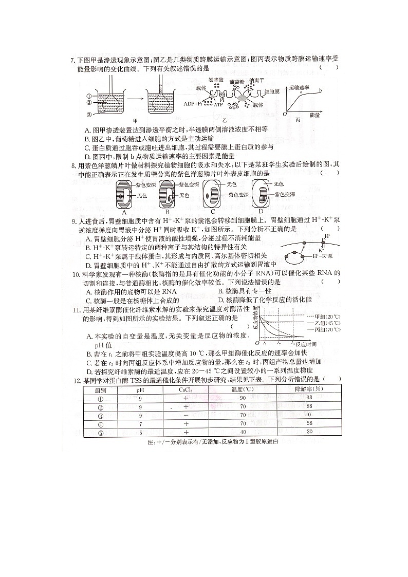 湖南省百校大联考2023-2024学年高一上学期12月考试生物试卷（Word版附答案）02