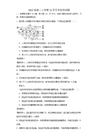 四川省眉山市仁寿第一中学南校区2023-2024学年高二上学期12月月考生物试题（Word版附解析）