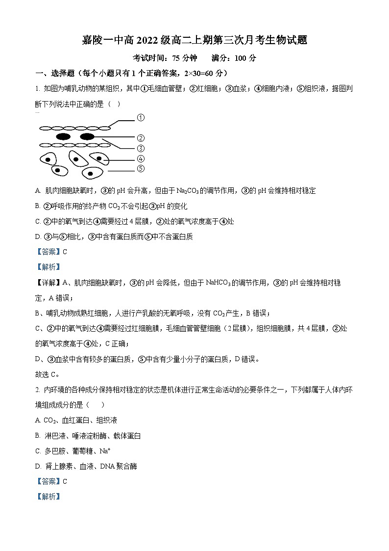 四川省南充市嘉陵第一中学2023-2024学年高二上学期12月月考生物试题（Word版附解析）第1页