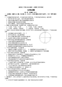 四川省宜宾市叙州区第二中学2023-2024学年高二上学期12月月考生物试题（Word版附答案）