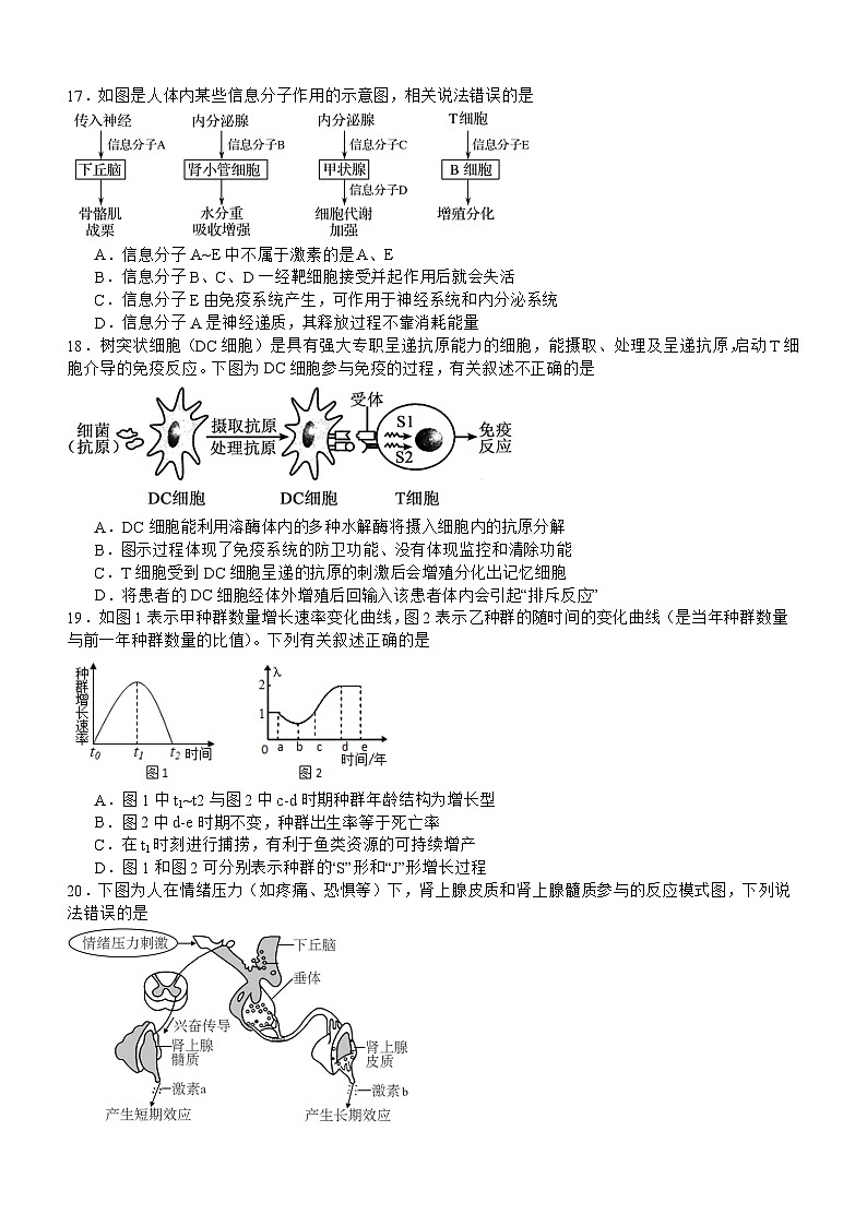 四川省宜宾市叙州区第二中学2023-2024学年高二上学期12月月考生物试题（Word版附答案）第3页