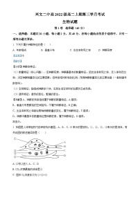 四川省宜宾市兴文县二中2023-2024学年高二12月月考生物试题（Word版附解析）