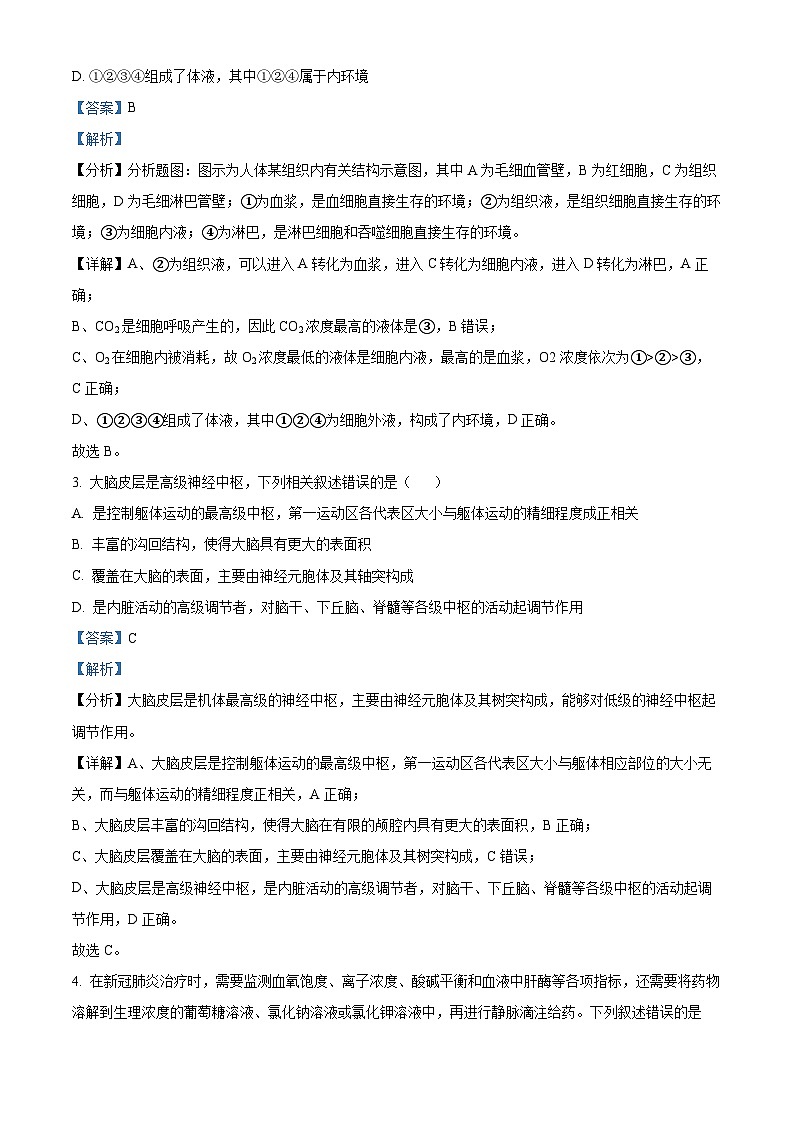 四川省宜宾市兴文县二中2023-2024学年高二12月月考生物试题（Word版附解析）02