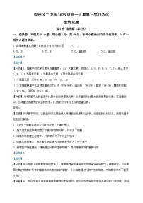 四川省宜宾市叙州区二中2023-2024学年高一12月月考生物试题（Word版附解析）