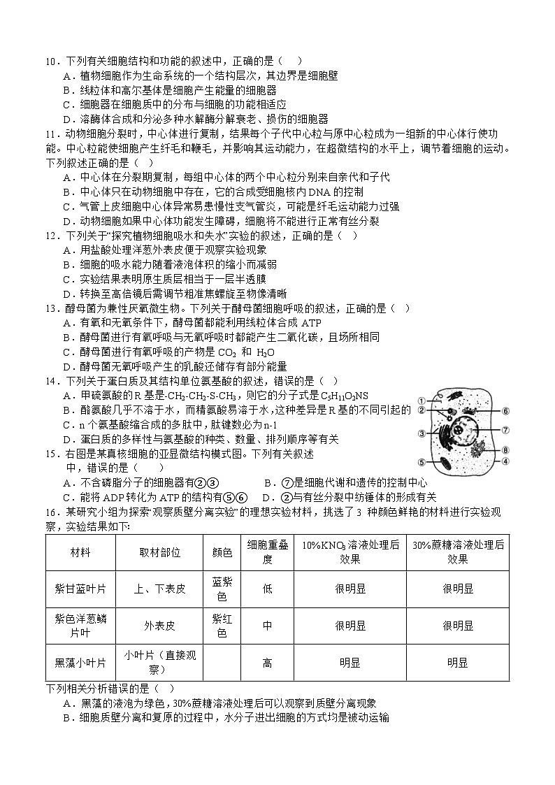 四川省宜宾市叙州区第二中学2023-2024学年高一上学期12月月考生物试题（Word版附答案）第2页