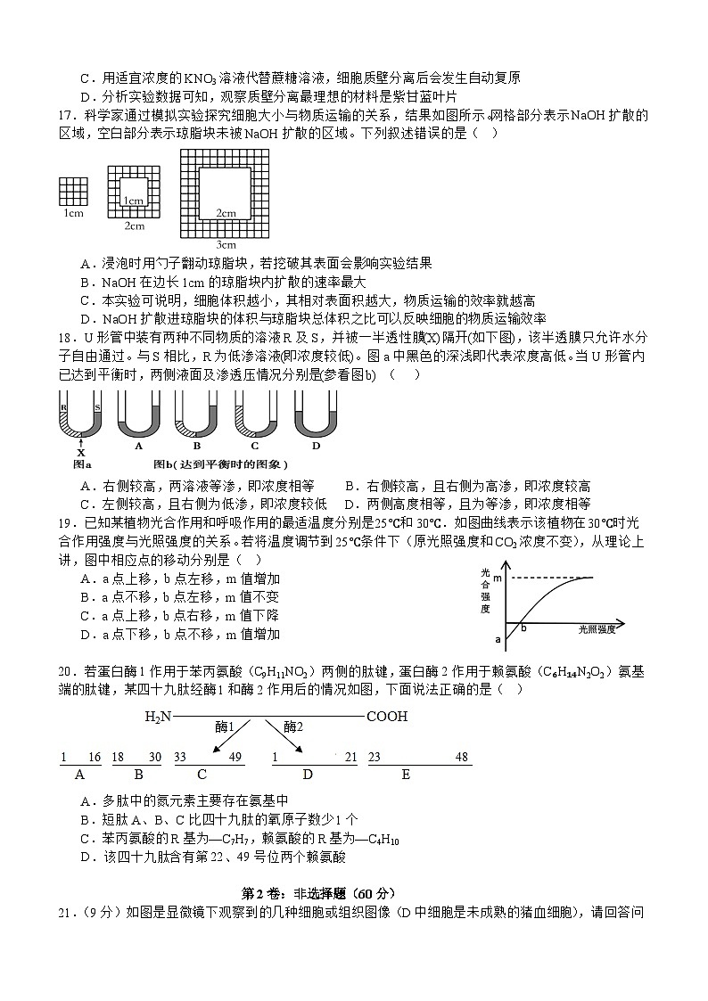 四川省宜宾市叙州区第二中学2023-2024学年高一上学期12月月考生物试题（Word版附答案）第3页