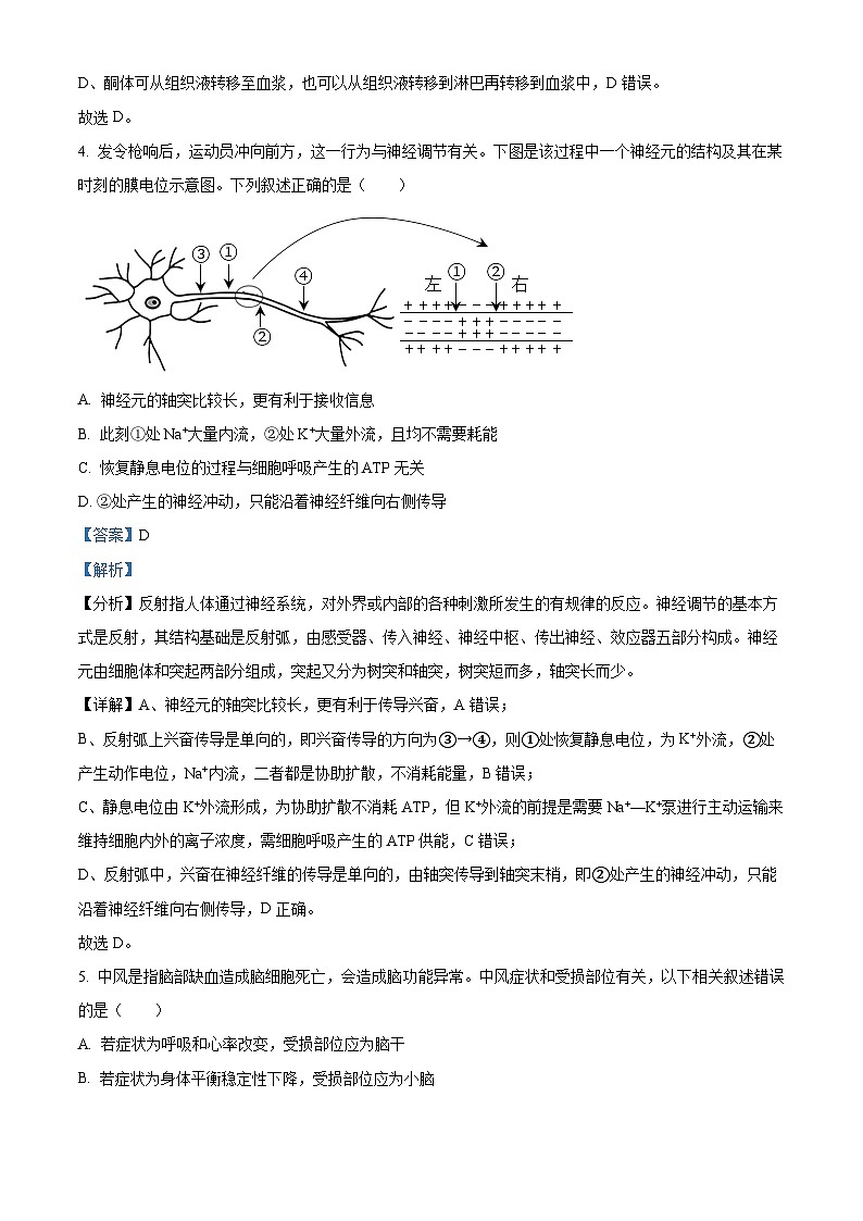 天津市三中2023-2024学年高二上学期期中生物试题（Word版附解析）03
