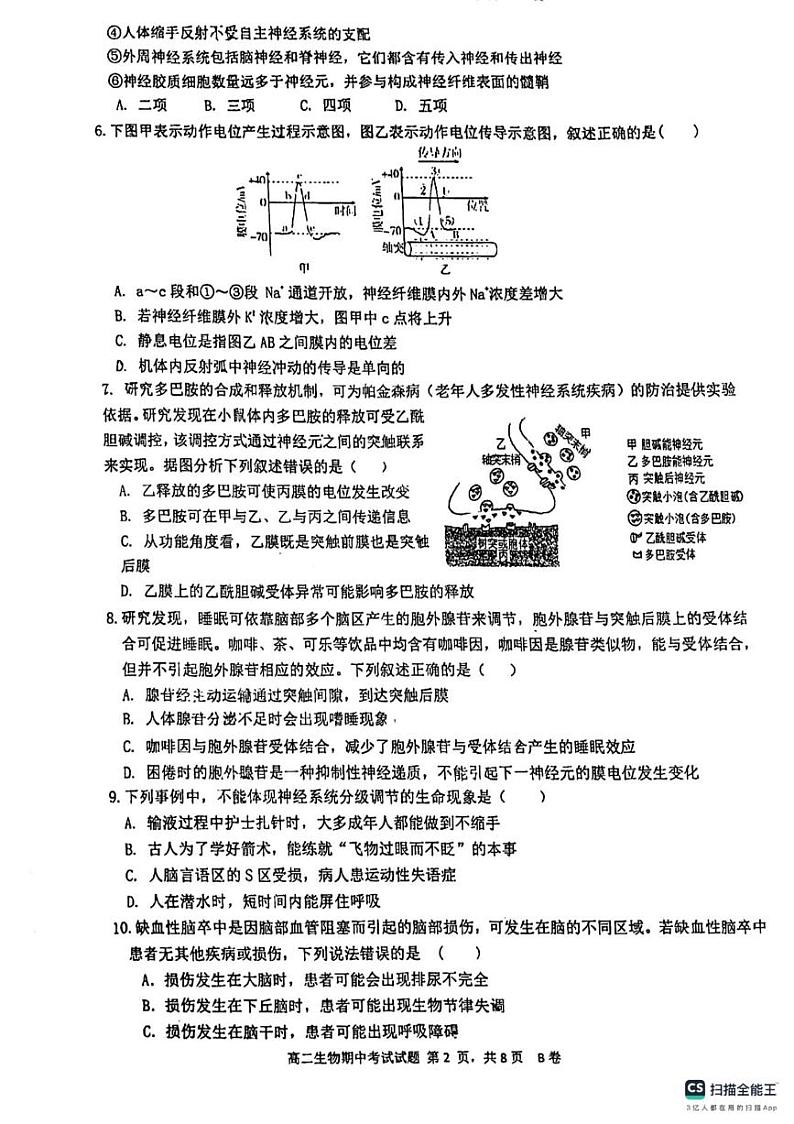 广东省深圳中学2023-2024学年高二上学期11月期中生物试题02