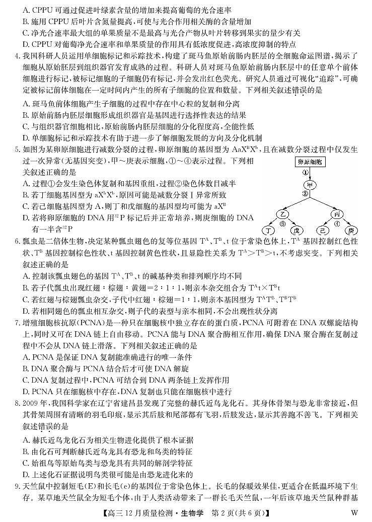 生物-12月质量检测（W）第2页