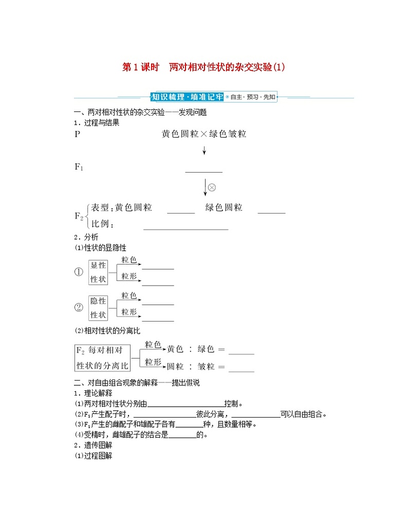 2024版新教材高中生物第1章遗传因子的发现第2节孟德尔的豌豆杂交实验二第1课时两对相对性状的杂交实验1课前自主预习案新人教版必修2第1页