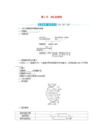 高中生物人教版 (2019)必修2《遗传与进化》第3章 基因的本质第2节 DNA的结构学案设计