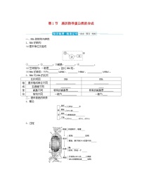 生物必修2《遗传与进化》第1节 基因指导蛋白质的合成学案
