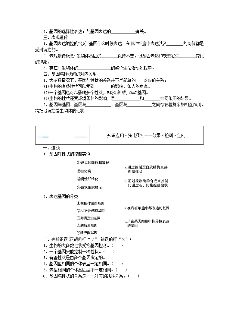 2024版新教材高中生物第4章基因的表达第2节基因表达与性状的关系课前自主预习案新人教版必修202