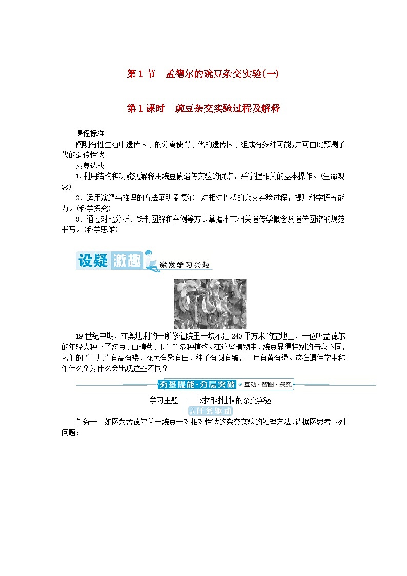 2024版新教材高中生物第1章遗传因子的发现第1节孟德尔的豌豆杂交实验一第1课时豌豆杂交实验过程及解释学生用书学案新人教版必修201