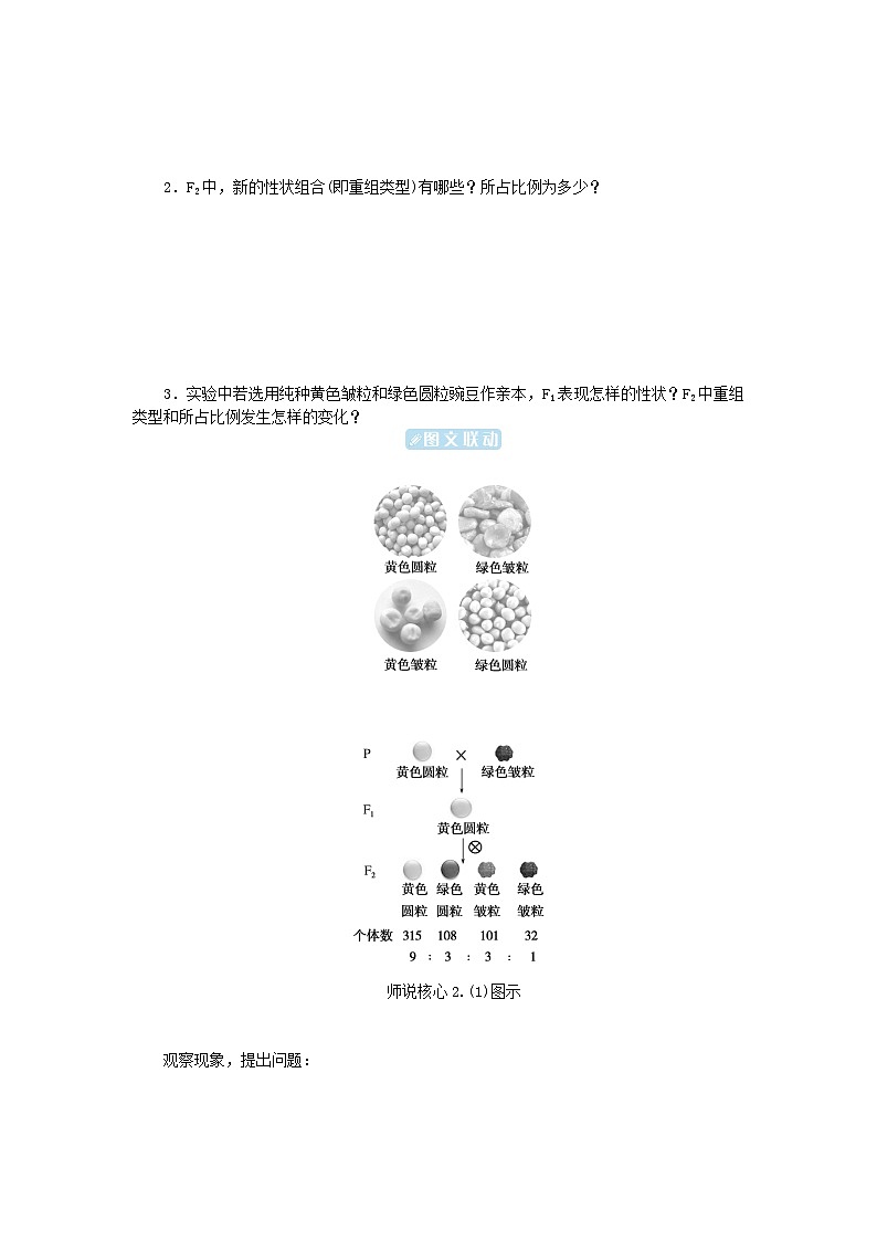 2024版新教材高中生物第1章遗传因子的发现第2节孟德尔的豌豆杂交实验二第1课时两对相对性状的杂交实验1学生用书学案新人教版必修202
