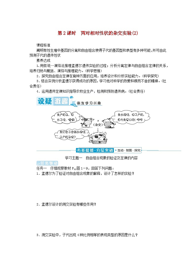 2024版新教材高中生物第1章遗传因子的发现第2节孟德尔的豌豆杂交实验二第2课时两对相对性状的杂交实验2学生用书学案新人教版必修201