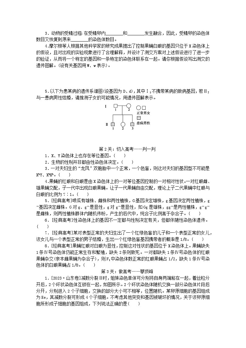 2024版新教材高中生物第2章基因和染色体的关系章末排查强化学生用书学案新人教版必修203