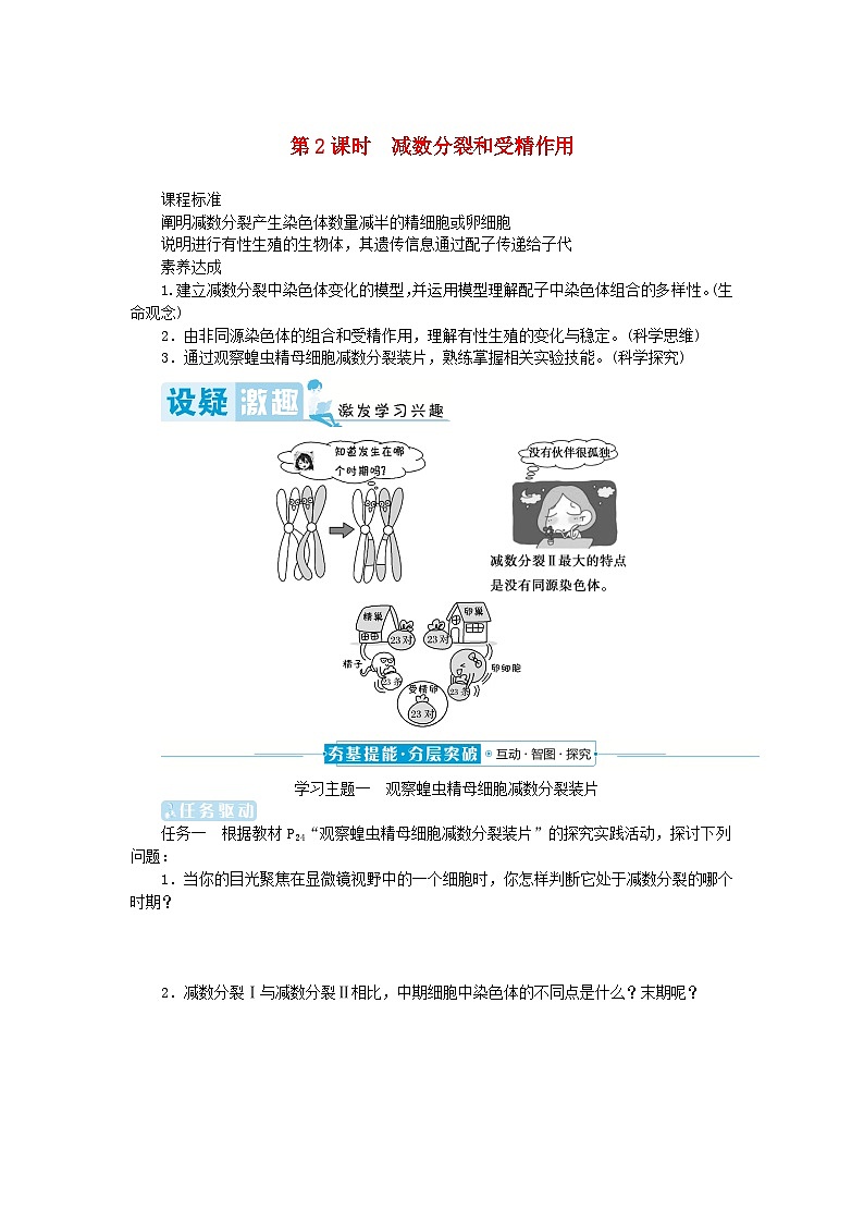 2024版新教材高中生物第2章基因和染色体的关系第1节减数分裂和受精作用第2课时减数分裂和受精作用学生用书学案新人教版必修201