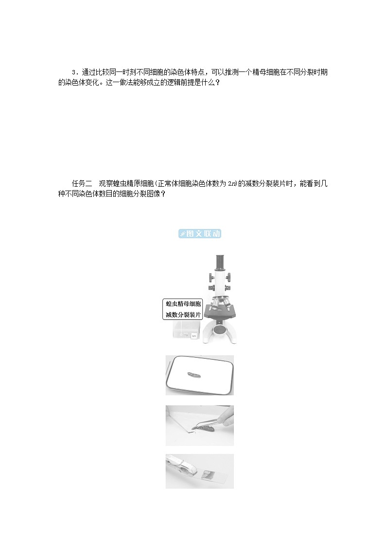 2024版新教材高中生物第2章基因和染色体的关系第1节减数分裂和受精作用第2课时减数分裂和受精作用学生用书学案新人教版必修202