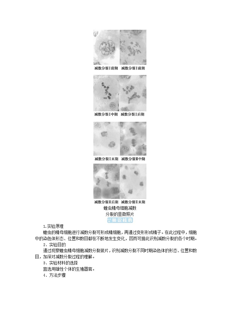 2024版新教材高中生物第2章基因和染色体的关系第1节减数分裂和受精作用第2课时减数分裂和受精作用学生用书学案新人教版必修203