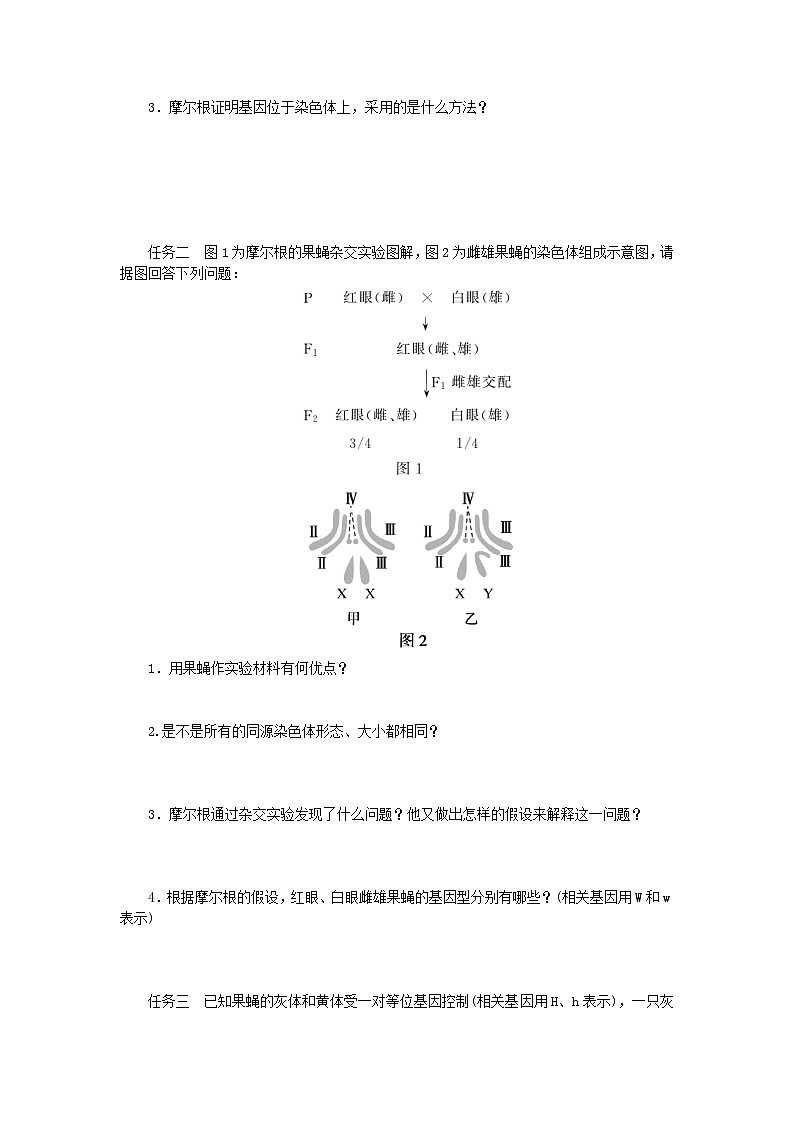 2024版新教材高中生物第2章基因和染色体的关系第2节基因在染色体上学生用书学案新人教版必修202