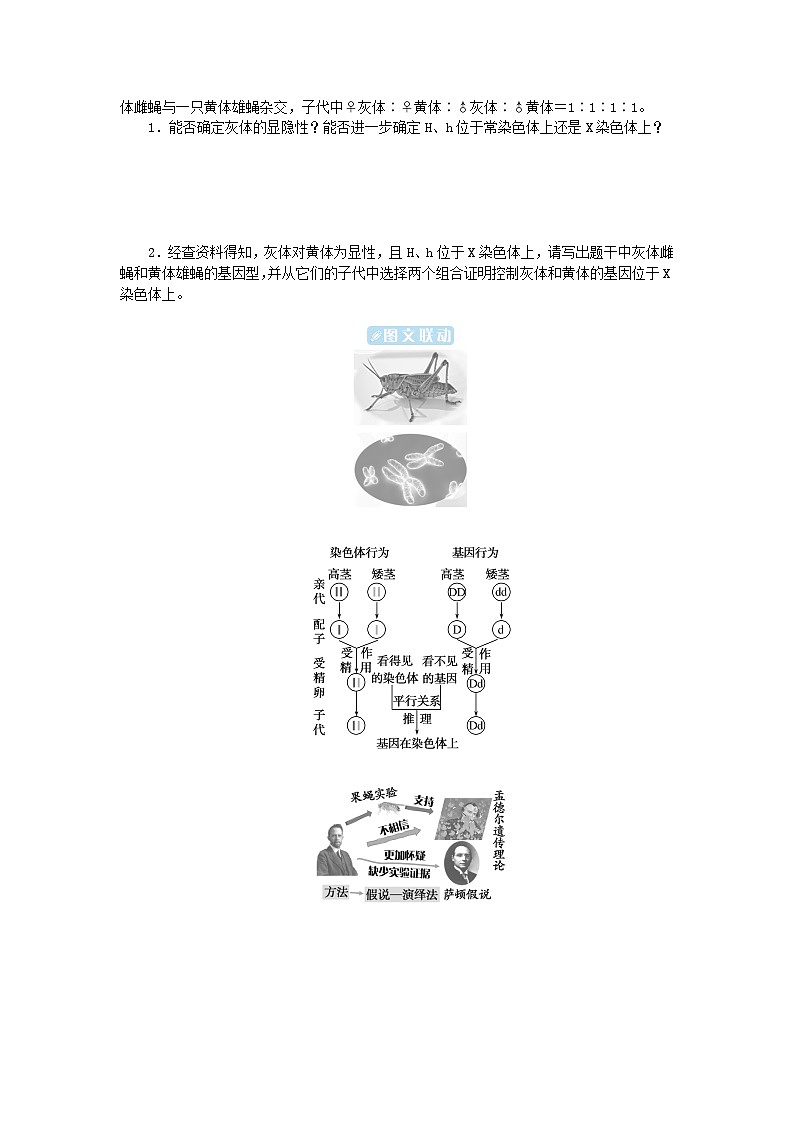 2024版新教材高中生物第2章基因和染色体的关系第2节基因在染色体上学生用书学案新人教版必修203