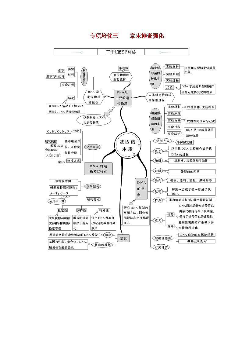 2024版新教材高中生物第3章基因的本质章末排查强化学生用书学案新人教版必修2第1页