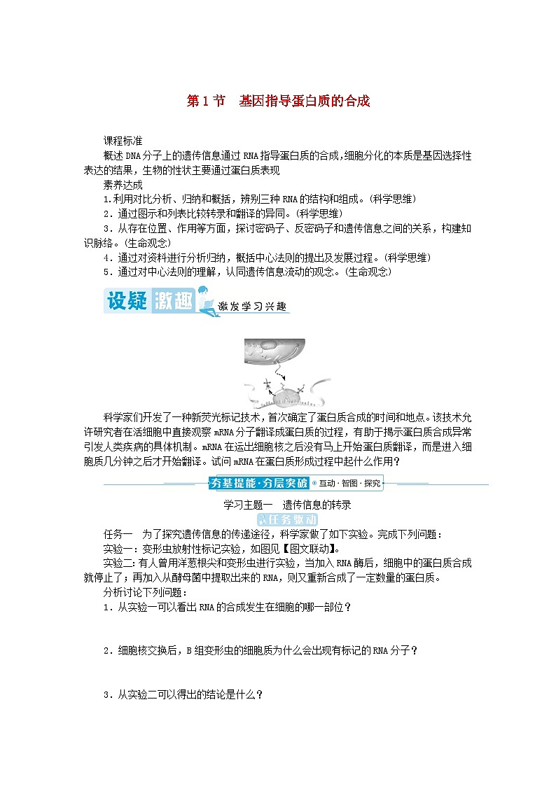 2024版新教材高中生物第4章基因的表达第1节基因指导蛋白质的合成学生用书学案新人教版必修201
