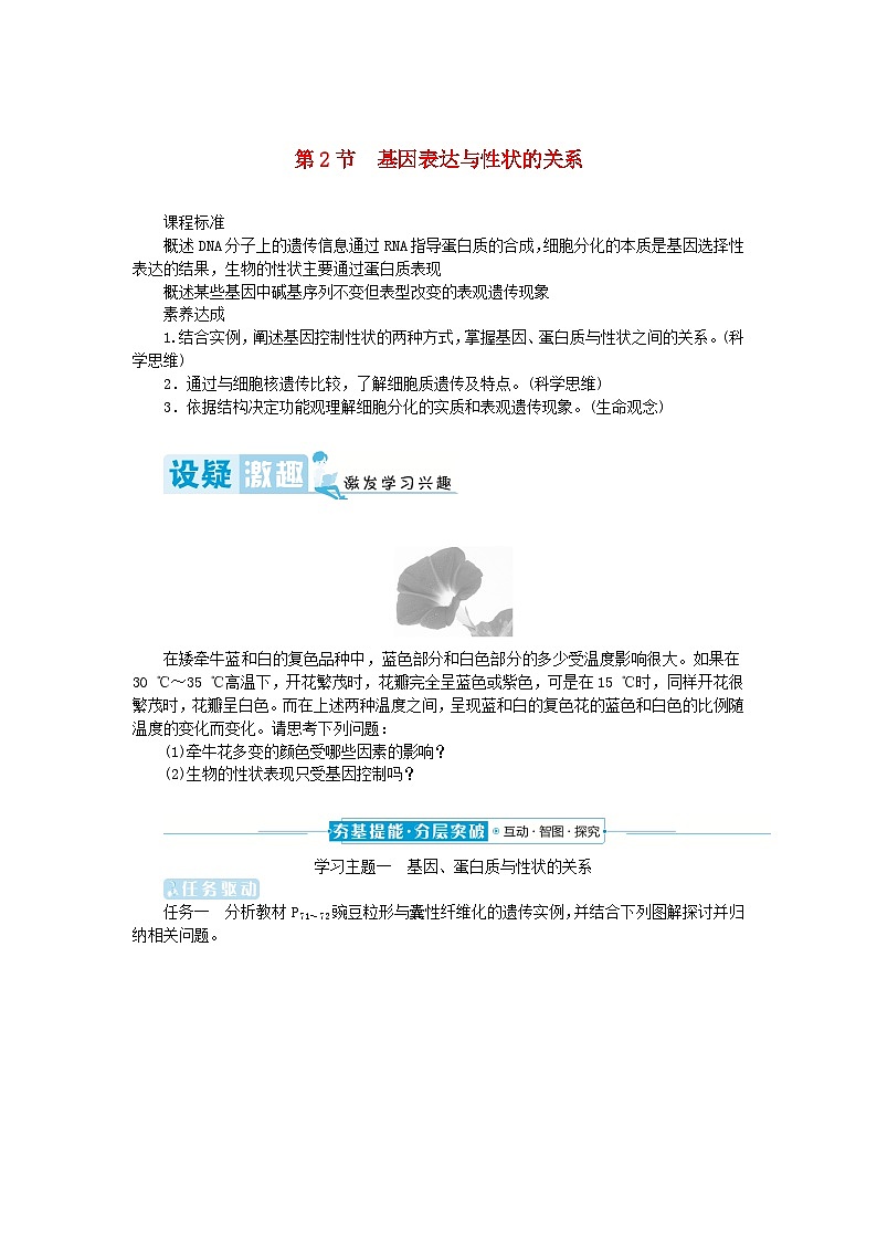 2024版新教材高中生物第4章基因的表达第2节基因表达与性状的关系学生用书学案新人教版必修201