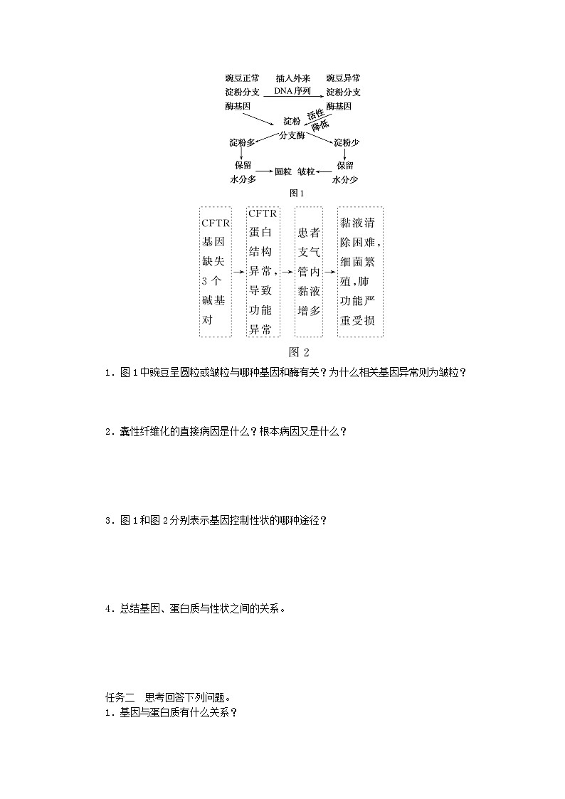 2024版新教材高中生物第4章基因的表达第2节基因表达与性状的关系学生用书学案新人教版必修202