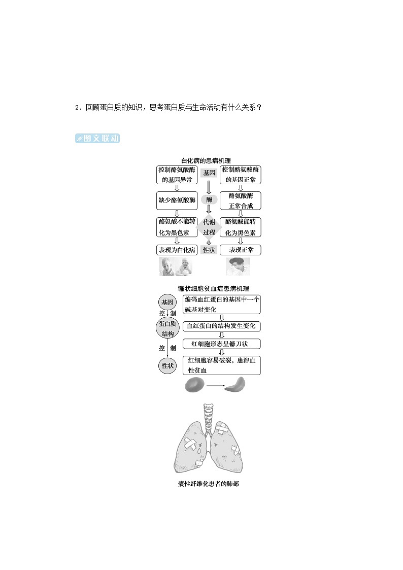 2024版新教材高中生物第4章基因的表达第2节基因表达与性状的关系学生用书学案新人教版必修203
