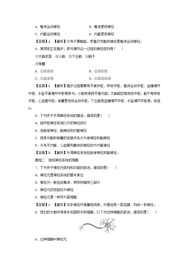 新教材2024版高中生物第2章神经调节第1节神经调节的结构基次后提能集训试题新人教版选择性必修102