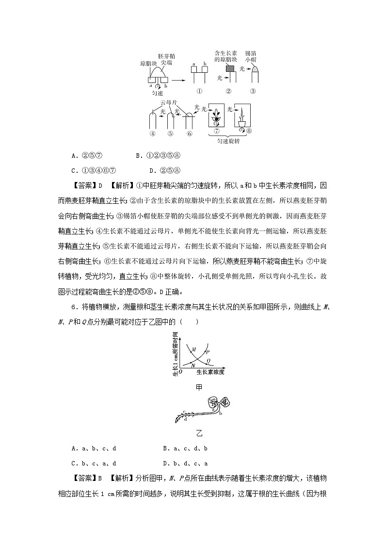 新教材2024版高中生物第5章植物生命活动的调节第1节植物生长素课后提能集训试题新人教版选择性必修1第3页