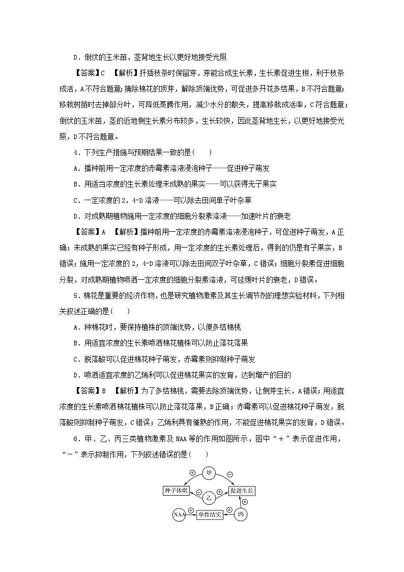 新教材2024版高中生物第5章植物生命活动的调节达标检测卷新人教版选择性必修102