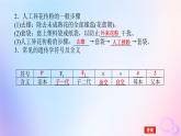 2024版新教材高中生物第1章遗传因子的发现第1节孟德尔的豌豆杂交实验一第1课时豌豆杂交实验过程及解释课件新人教版必修2