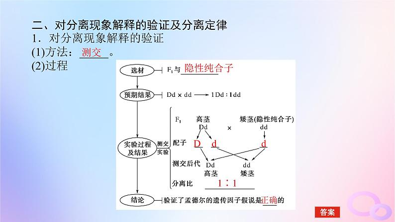 2024版新教材高中生物第1章遗传因子的发现第1节孟德尔的豌豆杂交实验一第2课时性状分离比的模拟实验及分离定律的应用课件新人教版必修205