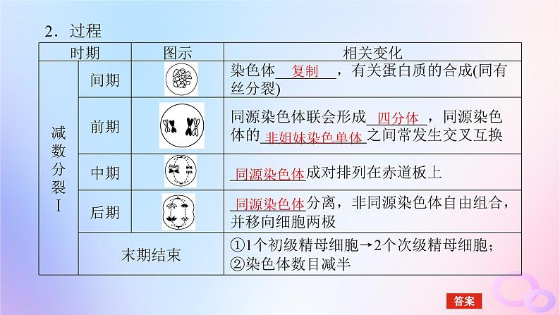 2024版新教材高中生物第2章基因和染色体的关系第1节减数分裂和受精作用第1课时减数分裂与精子和卵细胞的形成过程课件新人教版必修2第7页