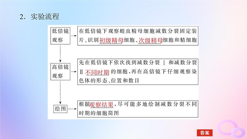 2024版新教材高中生物第2章基因和染色体的关系第1节减数分裂和受精作用第2课时减数分裂和受精作用课件新人教版必修205