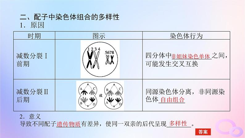 2024版新教材高中生物第2章基因和染色体的关系第1节减数分裂和受精作用第2课时减数分裂和受精作用课件新人教版必修206