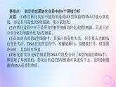 2024版新教材高中生物第3章基因的本質(zhì)章末排查強化課件新人教版必修2